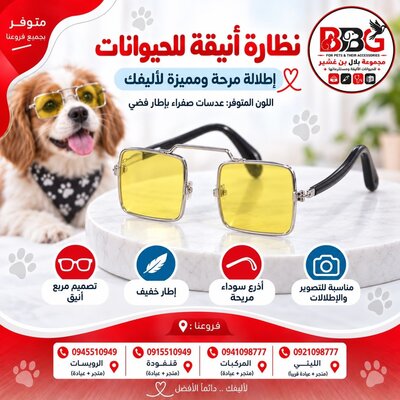 Stylish pet glasses