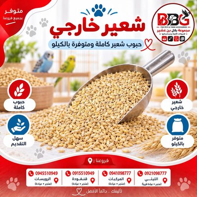 Barley - 1 kg