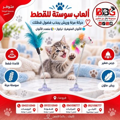 ألعاب سوستة للقطط - ريش تركواز