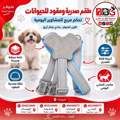 طقم صدرية ومقود للحيوانات