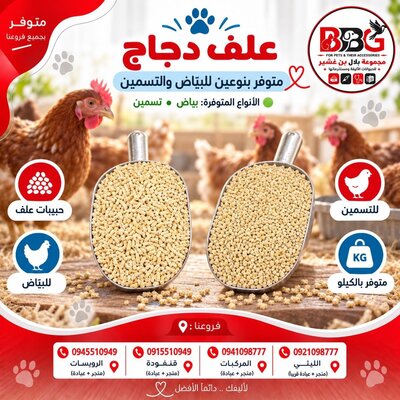 Chicken feed - Layer feed