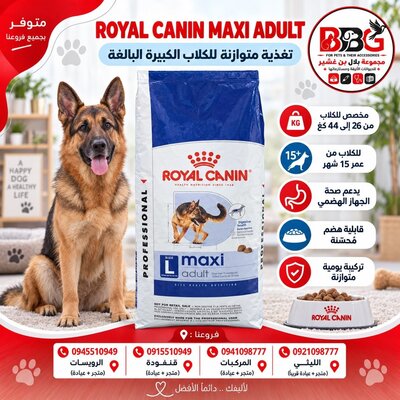 Complete and balanced food for adult dogs
