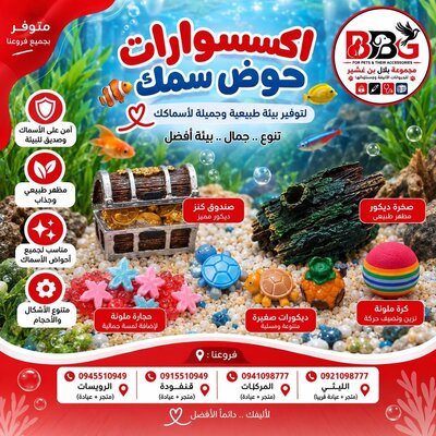 صندوق كنز