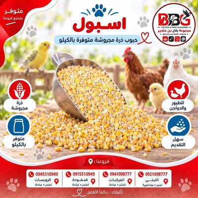 اسبول – ذرة مجروشة