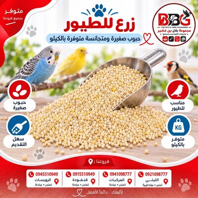 Bird Seed - 1 kg