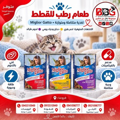 طعام رطب للقطط Miglior Gatto - لحم بقري