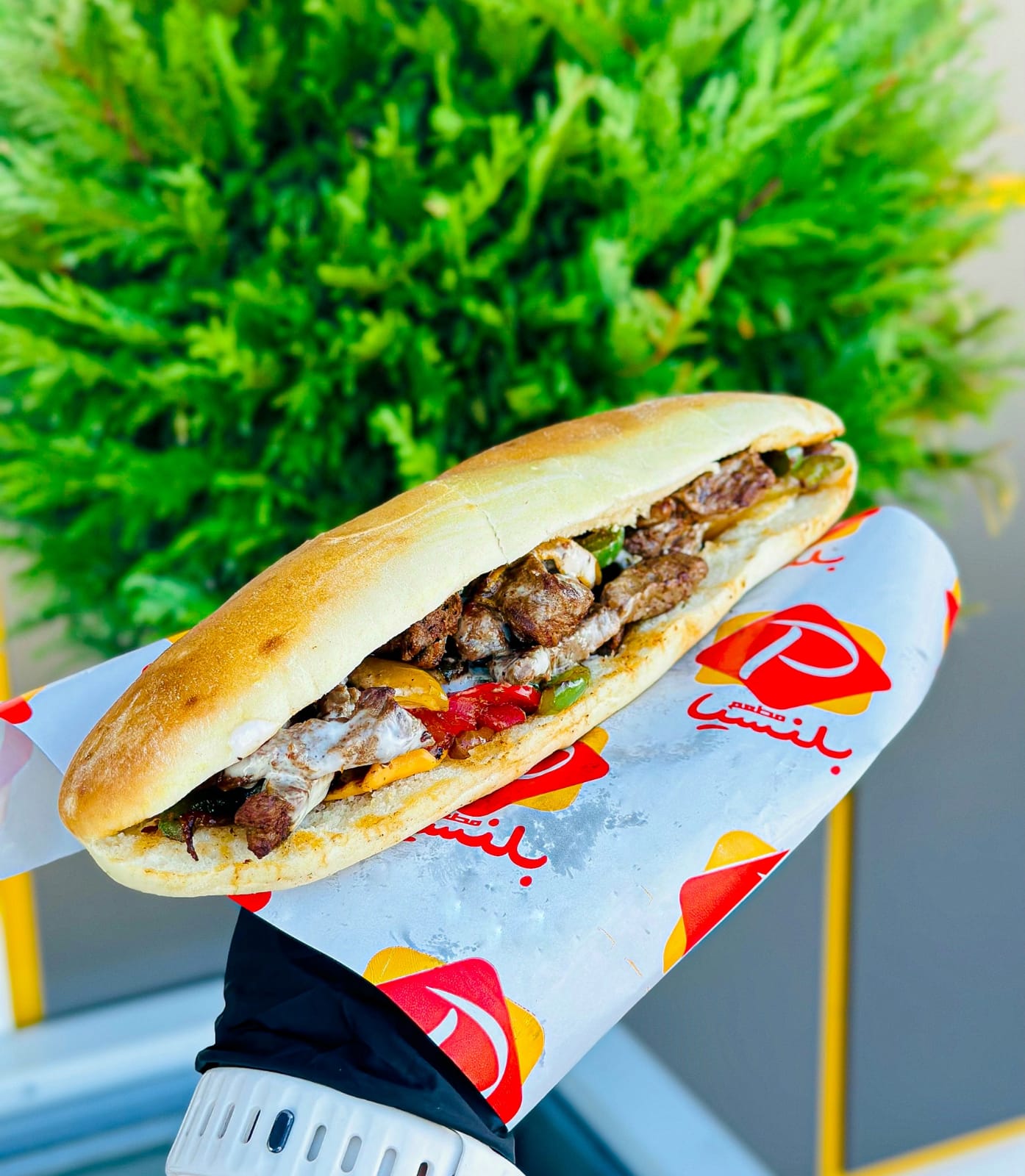 Beef Fahita Sandwich