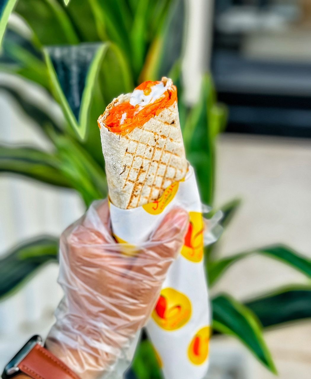 Arabic Sandwich