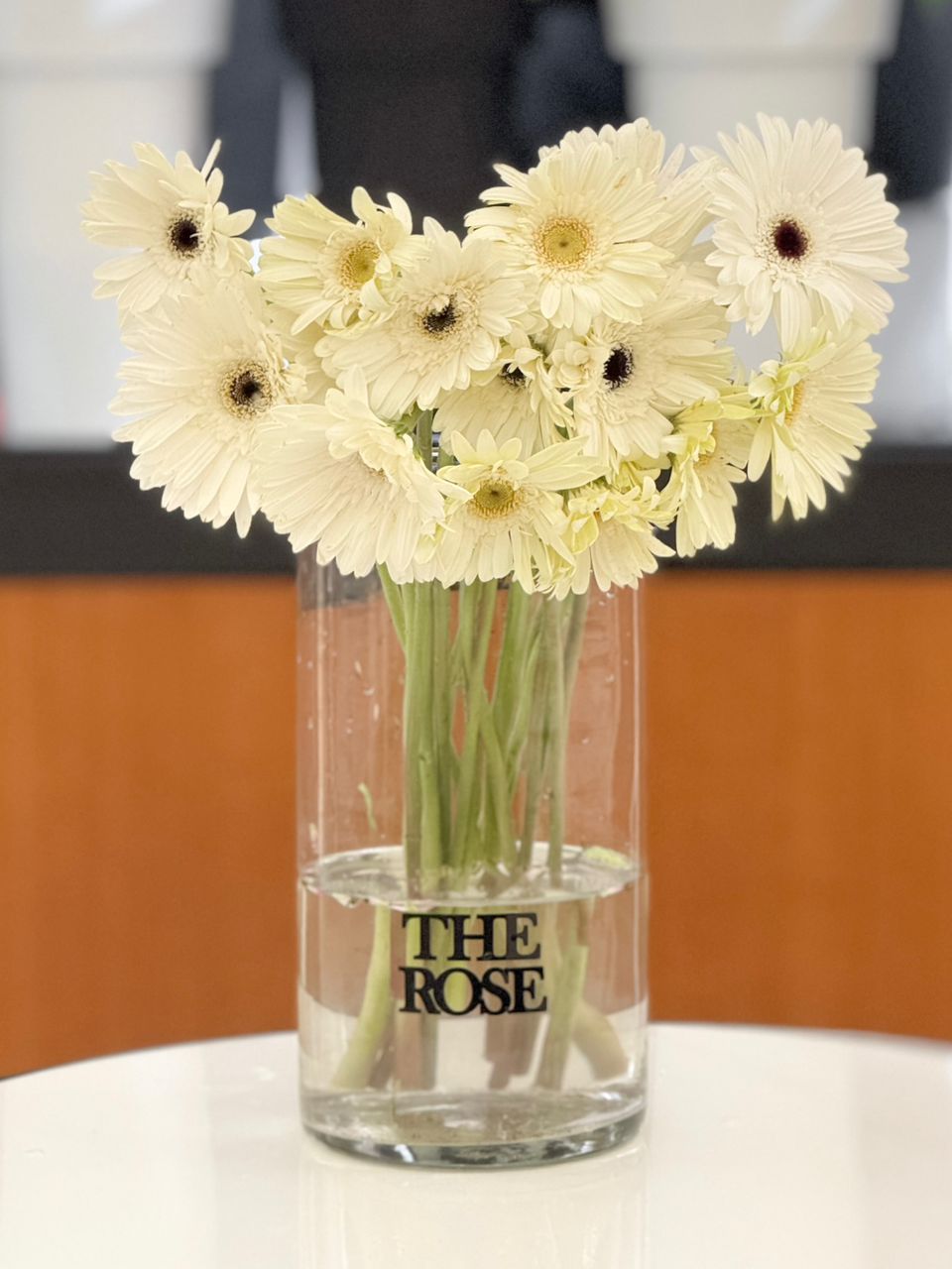 Gypsophila White - pcs