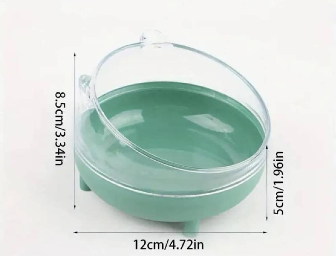 Single plate