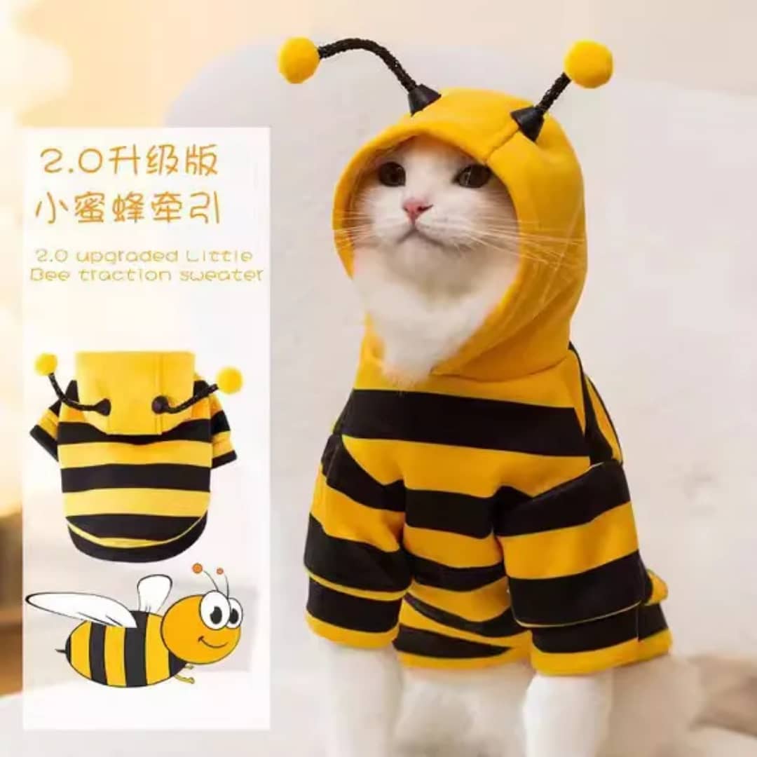 Bee costume for cats