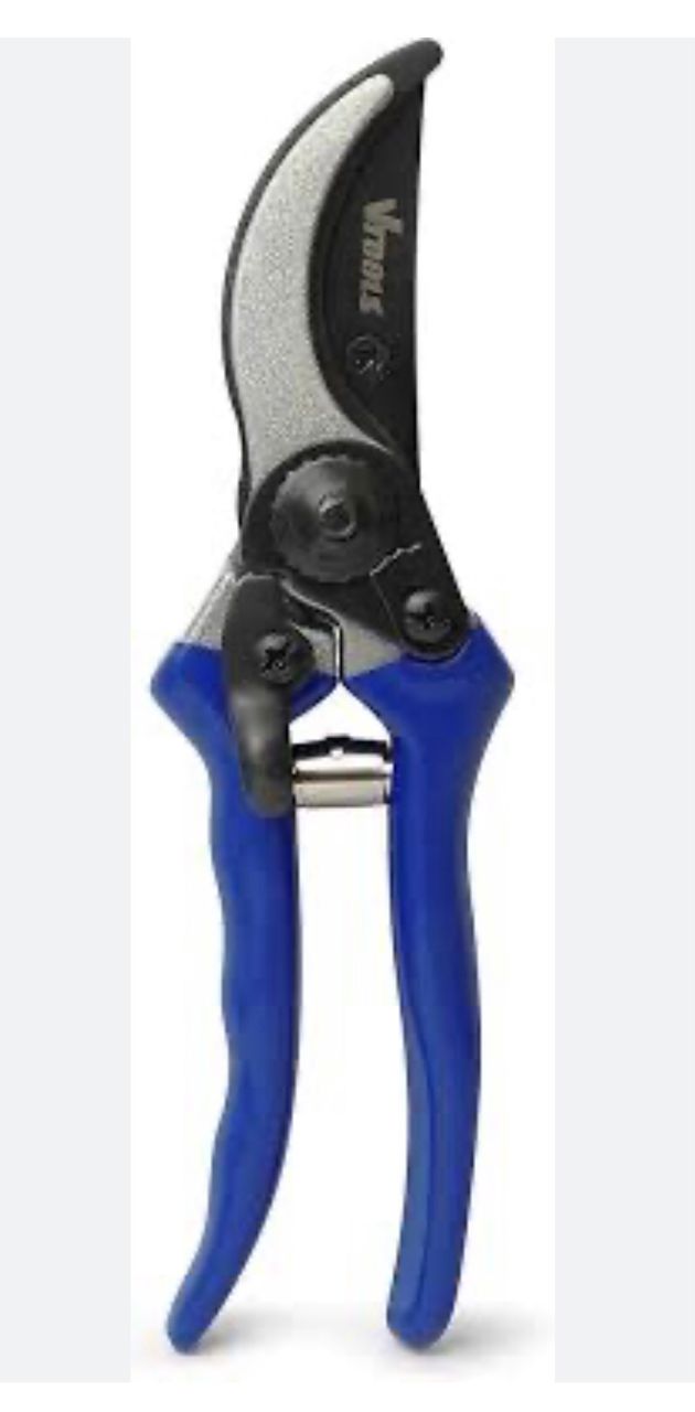 Turkish grape shears