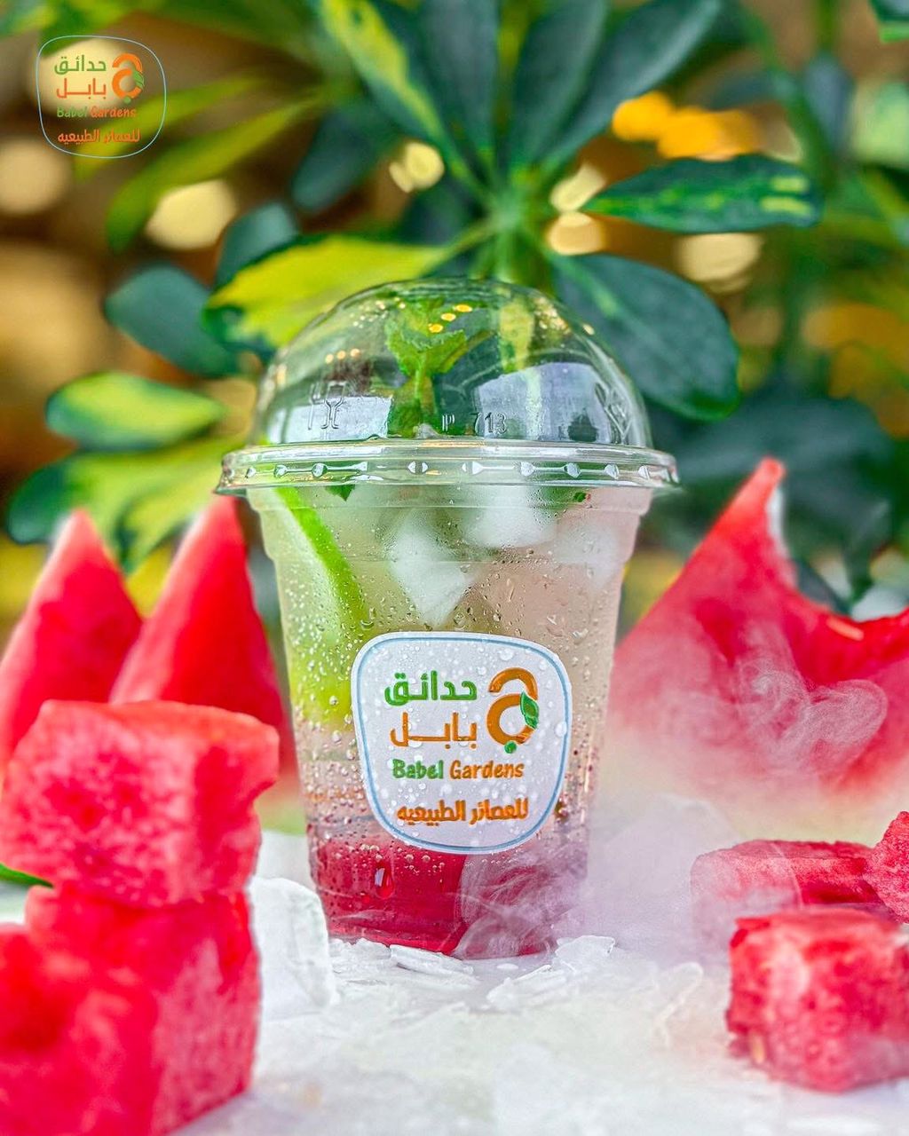 Watermelon mojito