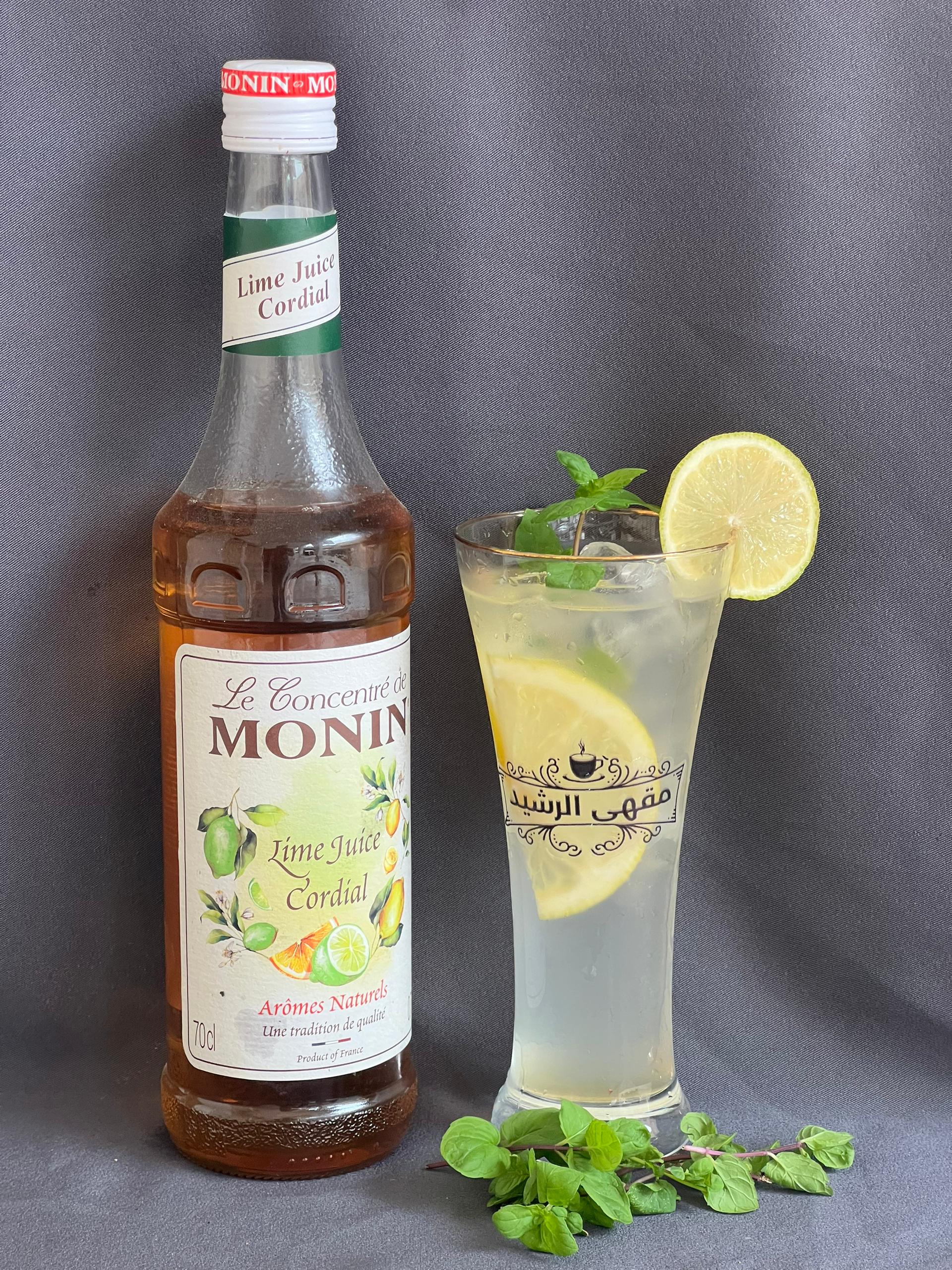 Mint Lemon Mojito