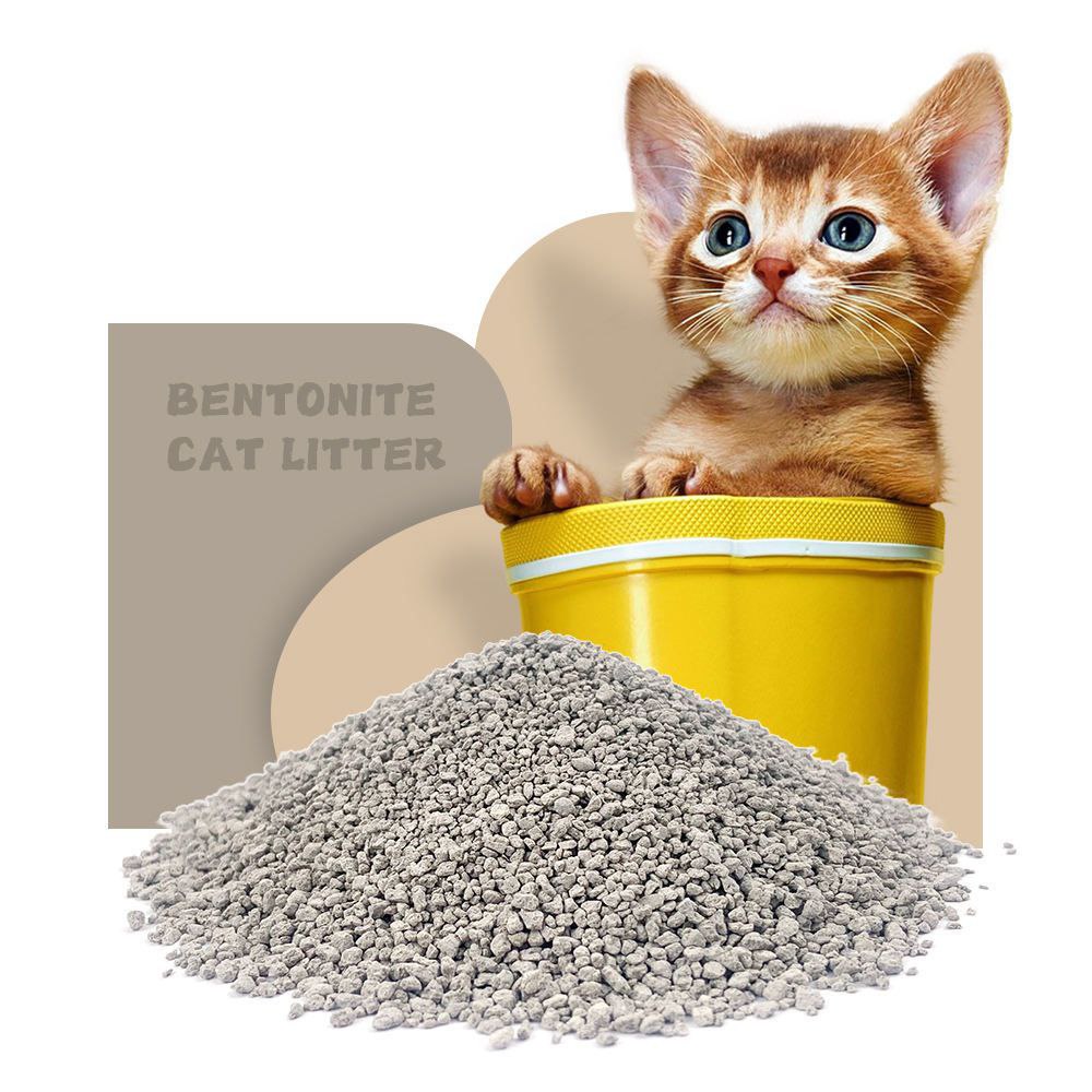 Cat litter - 10 L