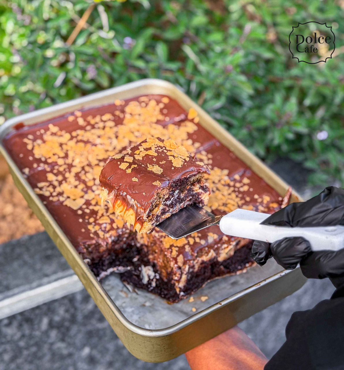 Crunchy Nutella and Hazelnut