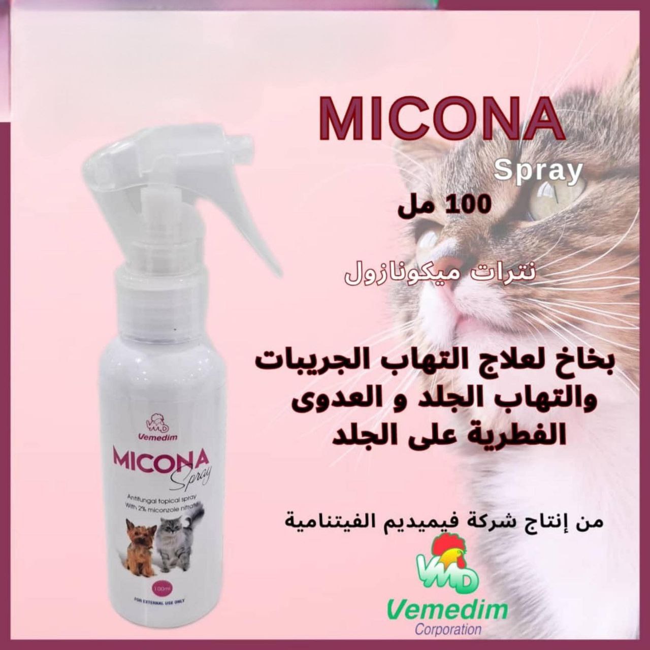 Spray for fungal infections
