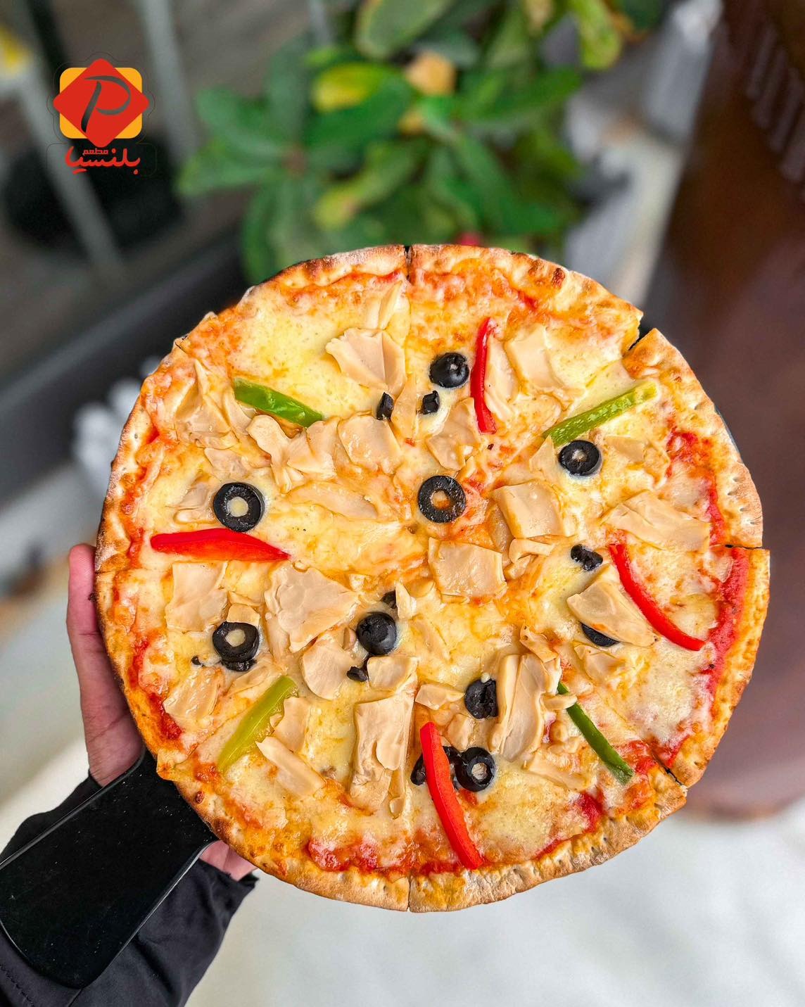 Fogaa Pizza