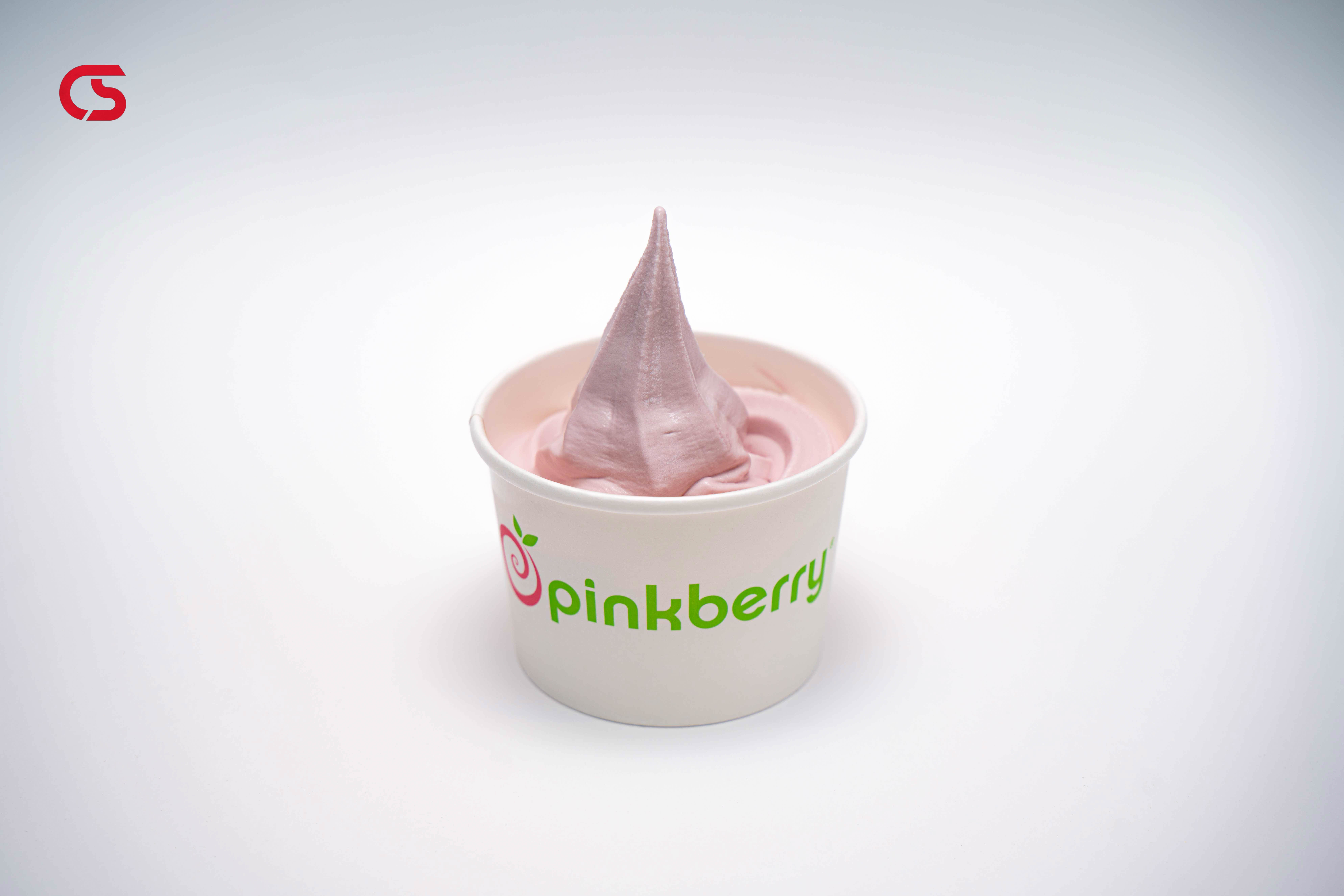Blackberry frozen yogurt - Medium size