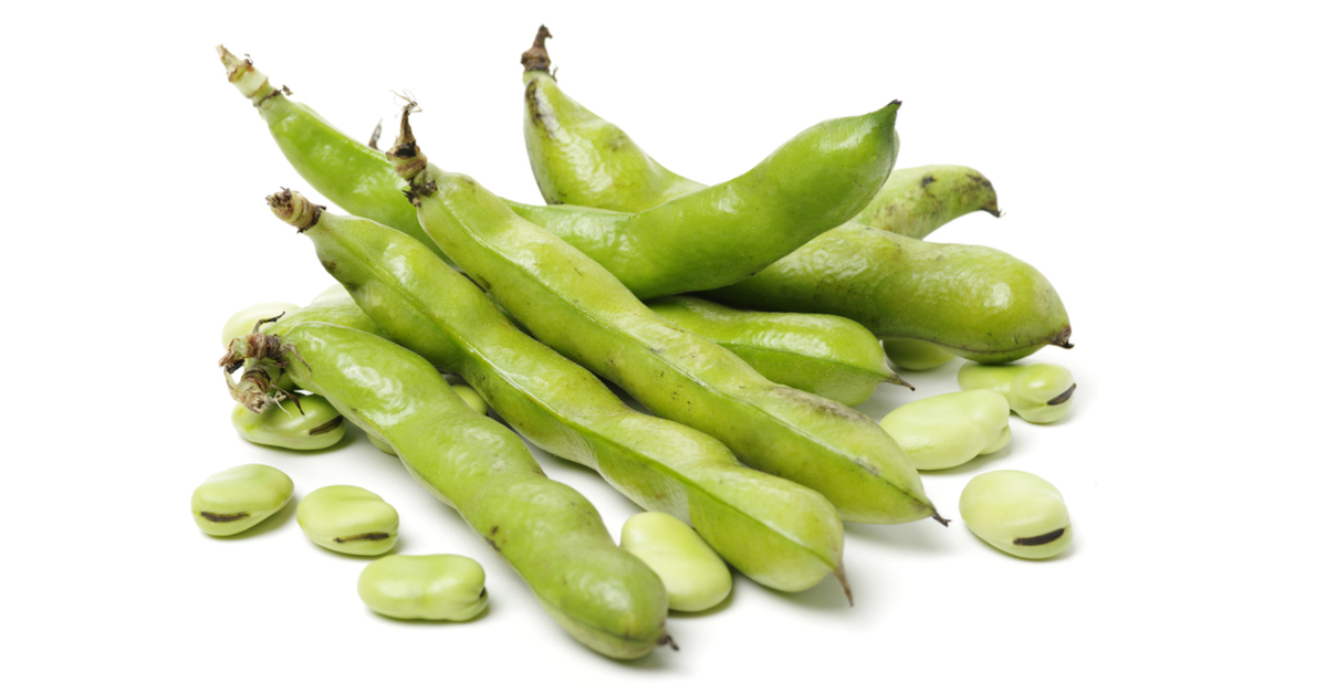 Green fava beans