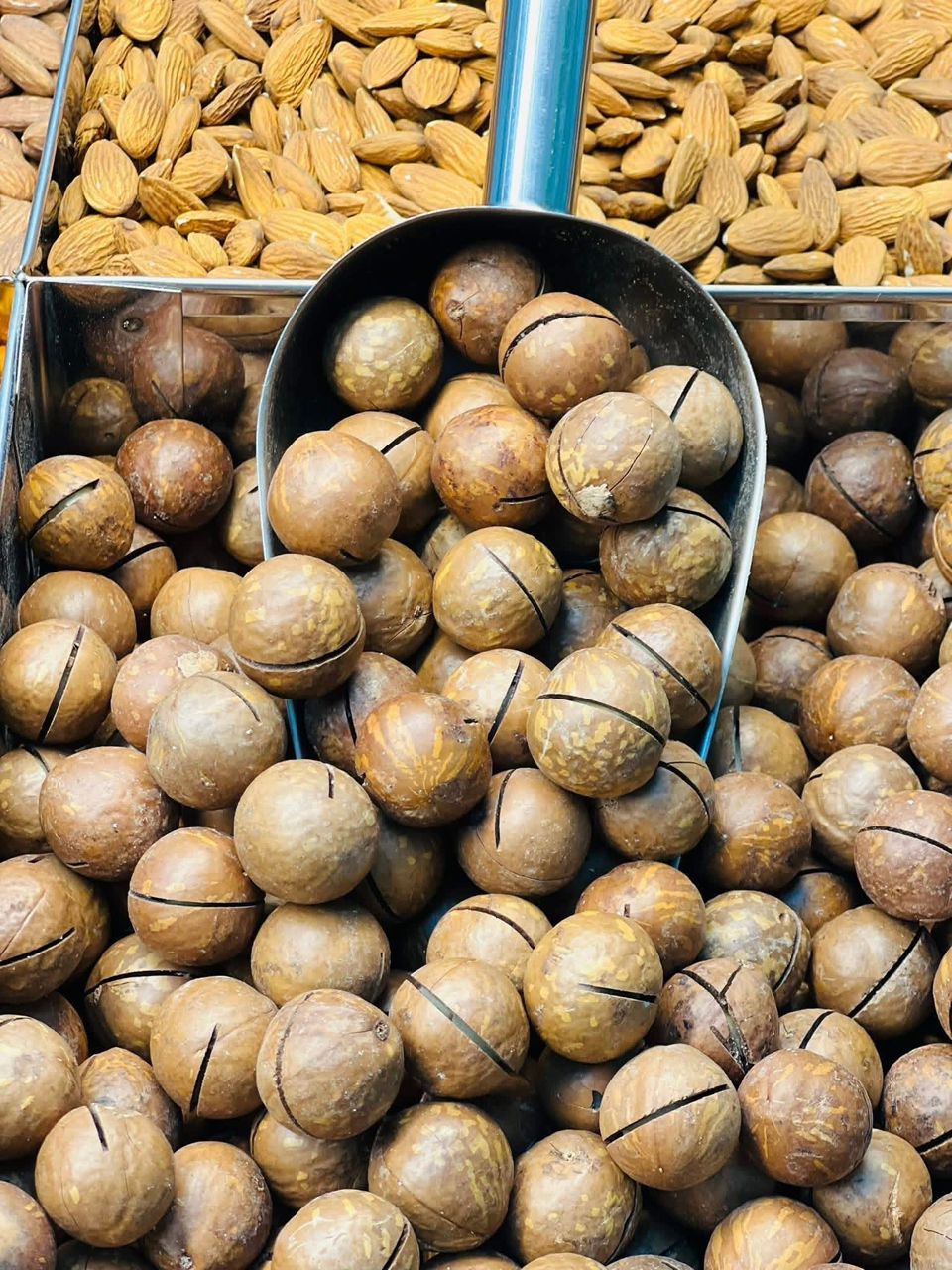 Macadamia nuts - kg