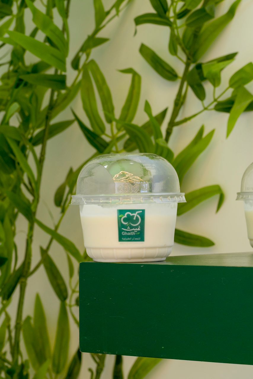 Plain Yogurt