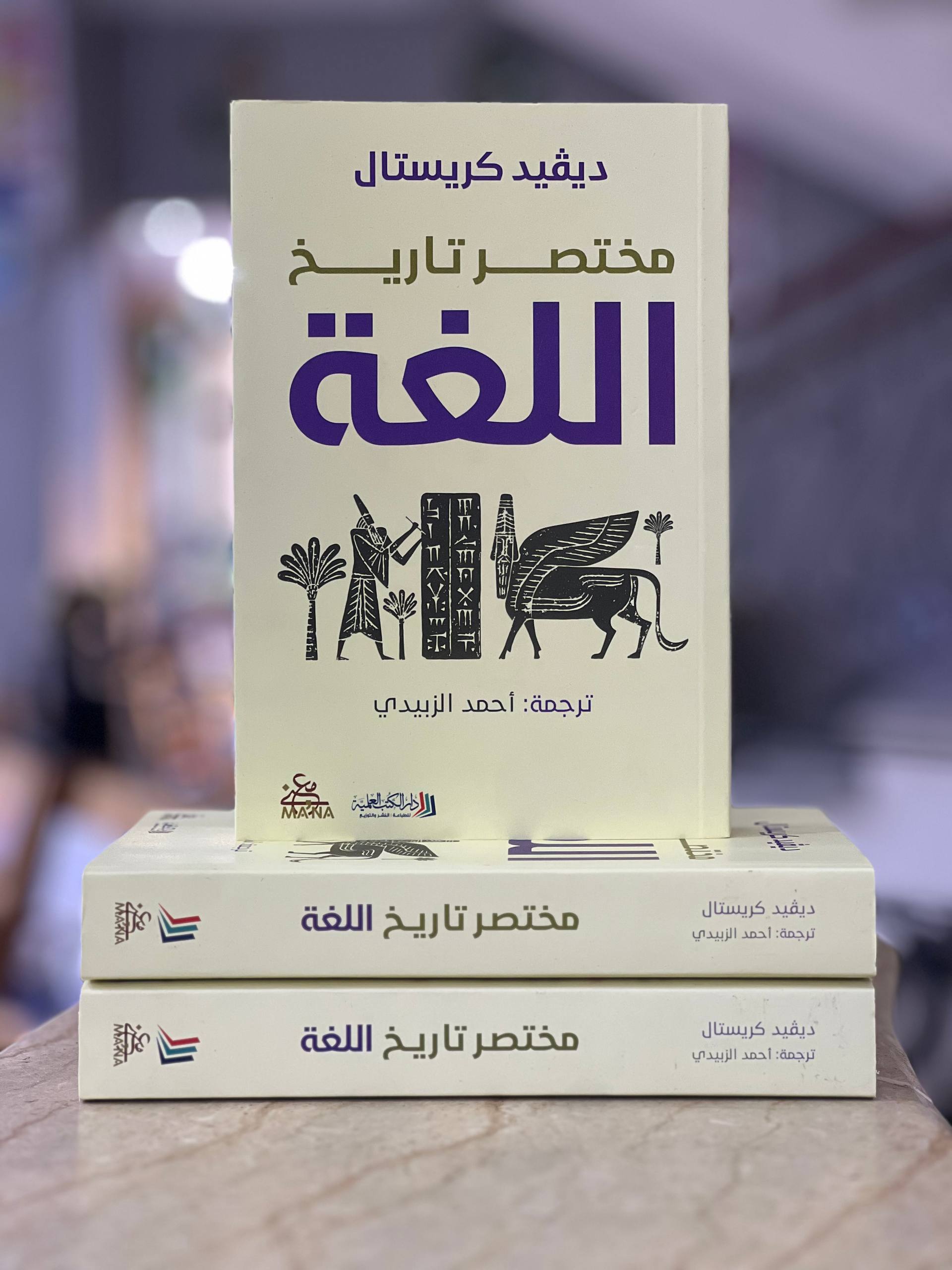 A Brief History of Language Book - David Crystal