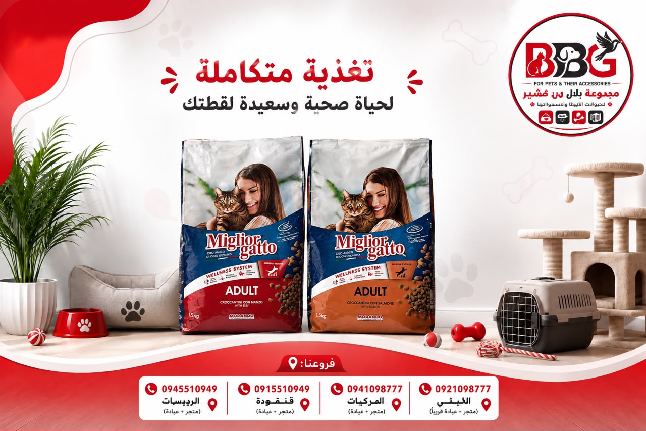 اكل جاف Miglior Gatto Adult بنكهة لحم