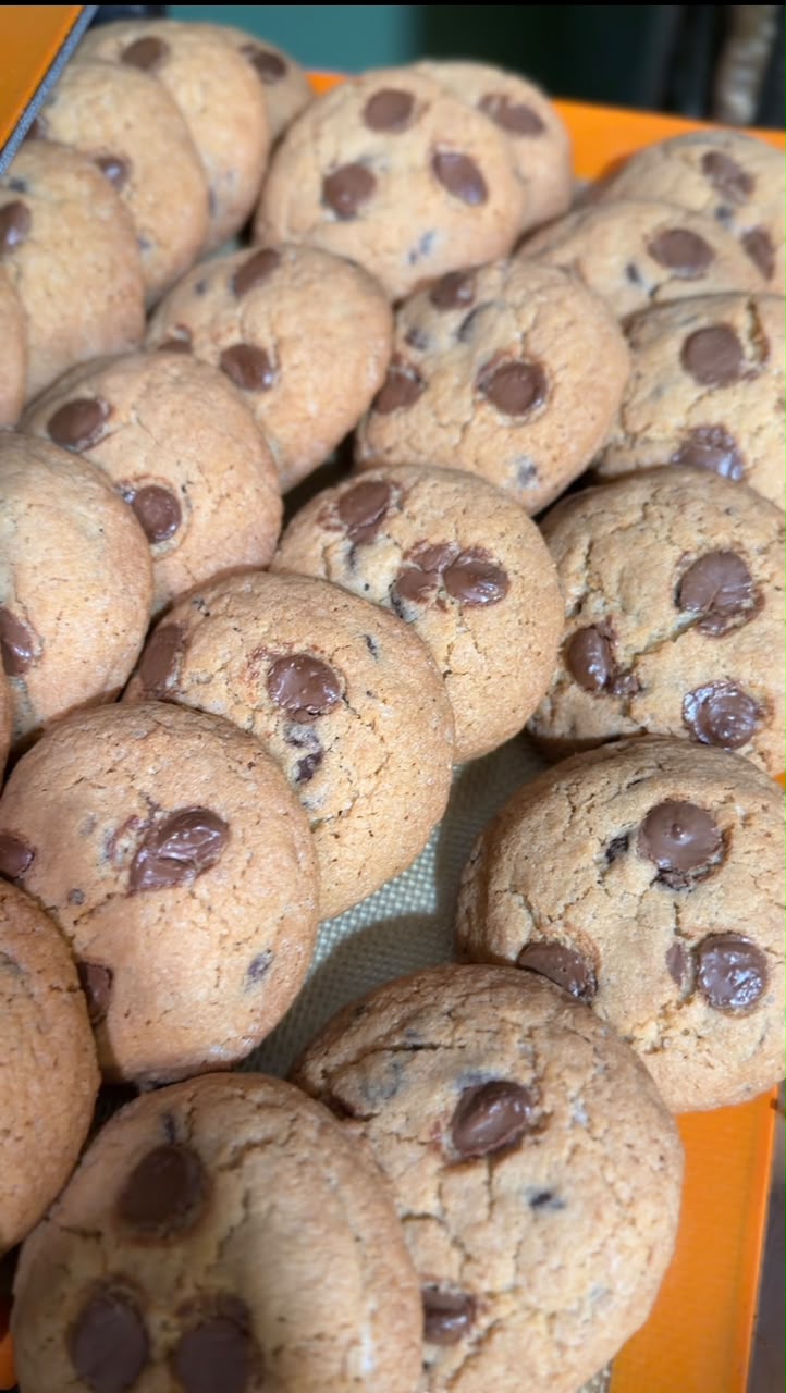 Belgian Chocolate Cookie (Piece)