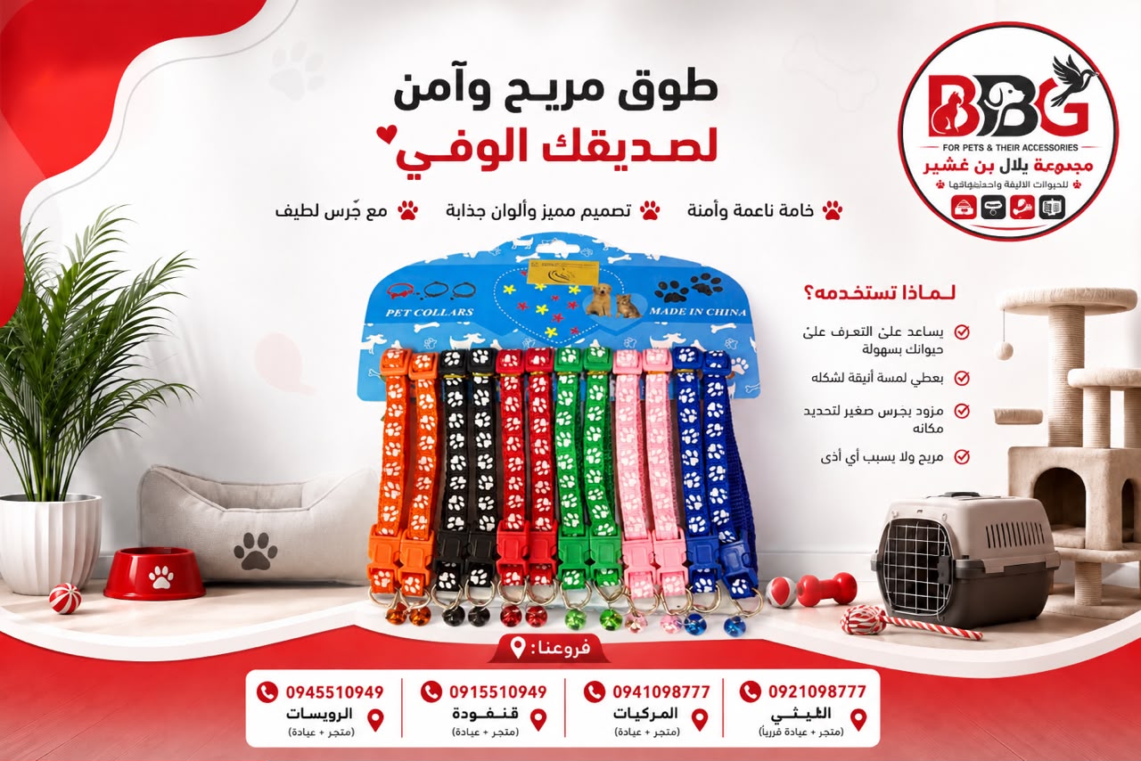 طوق للحيوانات الأليفة - برتقالي