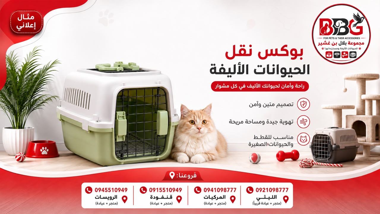 بوكس نقل الحيوانات الأليفة - أخضر