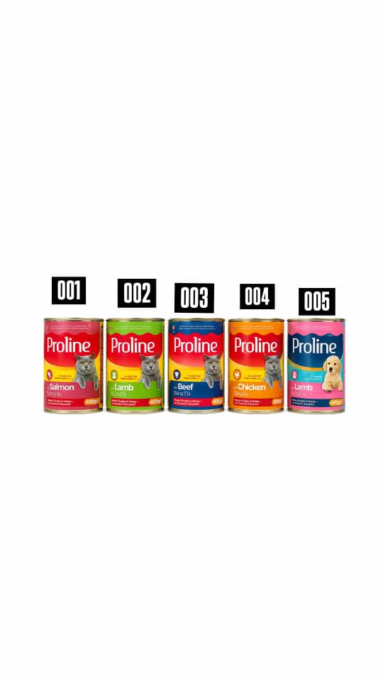 Proline cat food cans pcs - 005