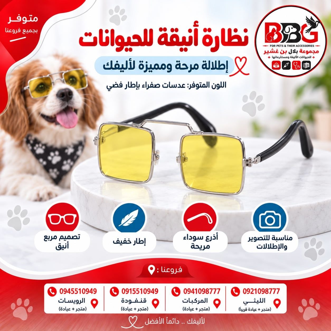 نظارة أنيقة للحيوانات الأليفة